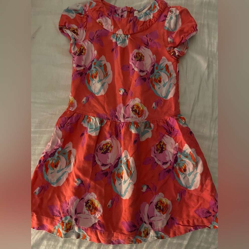 SOLD MINI BODEN Girls Pink and Red Roses Dressy Floral Dress
